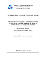 Phân tích ổn định trượt sâu công trình đắp trên đất yếu được xử lý bấc thấm gia tải trước từ những kết quả thí nghiệm hiện trường  báo cáo tổng kết kết quả đề tài khcn cấp trường  msđt t ktxd 2013 55  