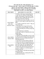 giáo án phối hợp tuần 16