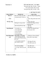 Kế hoạch phối hợp tuần 31