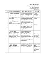 Chủ đề cây và những bông hoa dep-G.A tuần 12- nhánh 2 Quả ngon bé thích