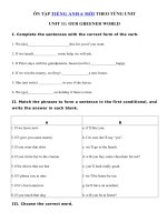 Tải Bài tập tự luận Tiếng Anh lớp 6 mới Unit 11: Our greener world - Ôn tập tiếng Anh 6 mới theo từng Unit có đáp án