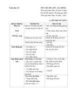 Giáo án tuần 10 ( tuần phụ) Chủ đề : Gia Đình