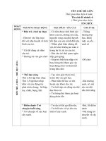 CĐL Cây và những bông hoa đẹp-nhánh 4 Em yêu cây xanh-giáo án tuần 14