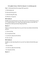 Trắc nghiệm tin học 12 bài 10 có đáp án