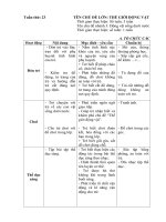 Kế hoạch giáo dục tuần 23: Động vật sống dưới nước (Năm học 2019 - 2020)