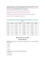 Tải Đáp án đề minh họa 2020 môn Sinh học lần 2 - Đề thi tham khảo tốt nghiệp THPT năm 2020 môn Sinh học