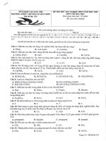 Đề và hướng dẫn chấm - Kỳ thi thử Tốt nghiệp THPT năm 2020