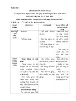 Giáo án tuần 6: Chủ đề cơ thể tôi