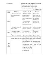 Giáo án tuần 03 : Lớp học của bé