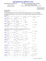 Đề thi đại học môn Tiếng Nhật khối D năm 2013 | dethivn.com