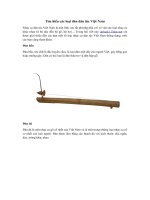 Tải Các loại đàn dân tộc Việt Nam - Tìm hiểu các loại nhạc cụ dân tộc