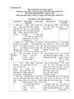 CHỦ ĐỀ: BẢN THÂN- CHỦ ĐỀ NHÁNH 1:TÔI LÀ AI? - TUẦN CHÍNH