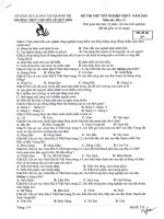 Đề và hướng dẫn chấm - Kỳ thi thử Tốt nghiệp THPT năm 2020