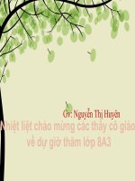 Ngữ văn 8 - Tiết 37 - Chiếc lá cuối cùng