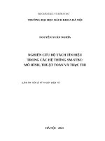 Nghiên cứu bộ tách tín hiệu trong các hệ thống SM STBC mô hình, thuật toán và thực thi 