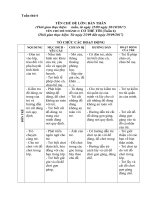 Chủ đề nhánh 3: Cơ thể tôi - Tuần chính