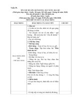 Giáo án phụ tuần 30