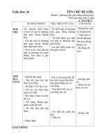 chủ đề giao thông