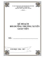 Kế hoạch Bồi dưỡng thường xuyên tổ Chuyên môn năm học 2016-2017_mẫu