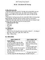 MTXQ - VÒNG ĐỜI CỦA BƯỚM - LÁ