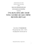 Ứng dụng sóng siêu âm để nâng cao hiệu quả quá trình dịch hóa bột gạo  báo cáo tổng kết kết quả đề tài khcn cấp trường  msđt t nckh 2012 48  