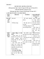 chủ đề: Trường mầm non -tuần 3-đồ chơi cuả bé- tuần phụ