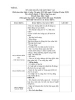 Giáo án phụ tuần 22