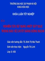 slide thuyết trình bảo vệ kim loại bằng catot   nghiên cứu sử dụng anôt sắt silic trong bảo vệ catôt bằng dòng ngoài FULL 