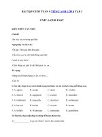 Tải Bài tập cuối tuần Tiếng Anh 8 tập 1 tuần 9 Unit 4 Our Past - Ôn tập Tiếng Anh lớp 8 theo từng Unit có đáp án