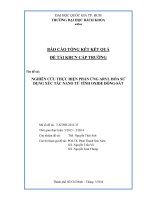 Nghiên cứu thực hiện phản ứng aryl hóa sử dụng xúc tác nano từ tính oxide đồng sắt  báo cáo tổng kết kết quả đề tài khcn cấp trường  msđt t kthh 2013 33  