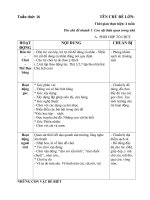 GA PHU NHANH 2 DONG VAT TRONG RUNG CD NHUNG CON VAT BE BIET