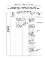 giáo án chủ đề mùa hè chủ đề nhánh 3: Các hoạt động của bé trong mùa hè