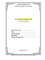 Bải tiểu luận kết thúc học phần