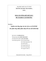 Nghiên cứu tổng hợp xúc tác trên cơ sở h zsm5 cho phản ứng nhiệt phân nhựa để sản xuất nhiên liệu  báo cáo tổng kết kết quả đề tài khcn cấp trường  msđt t kthh 2012 46  