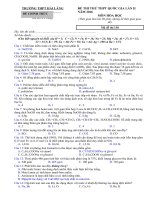 Tải Đề thi thử THPT Quốc gia môn Hóa học năm 2016 trường THPT Hải Lăng, Quảng Trị (Lần 2) - Đề thi thử đại học năm 2016 môn Hóa có đáp án