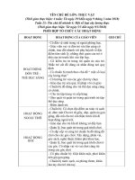 giáo án phụ nhánh một số cây lương thực