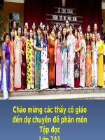 Tuần  8 TĐ Người mẹ hiền (chuyên đề)