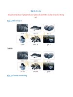 Tải Giải Vở bài tập Tiếng Việt lớp 1 trang 21 Bài 21: R r S s - Sách Kết nối tri thức với cuộc sống