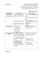 Kế hoạch phối hợp tuần 16