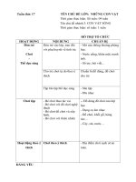 KHPH: Tuần 17 ( Con vật sống dưới nước)