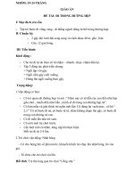 ĐI TRONG ĐƯỜNG HẸP - CNAT