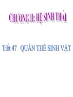 Tiết 47  Quần thể sinh vật