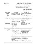 KHPH tuần 14 ( năm học 2018-2019) Nghề truyền thống địa phương