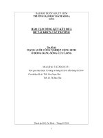 Mạng lưới công nghiệp cộng sinh ở đồng bằng sông cửu long  báo cáo tổng kết kết quả đề tài khcn cấp trường  msđt t ktxd 2013 51  