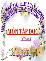 TUẦN  28 TĐ: Cuộc chạy đua trong rừng