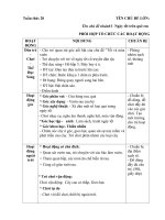 chủ đề cây xanh và môi trường tuần thứ 20