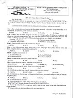 Đề và hướng dẫn chấm - Kỳ thi thử Tốt nghiệp THPT năm 2020