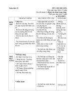 g.án tuần 19 động vật trong rừng