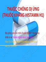 THUỐC CHỐNG dị ỨNG (THUỐC KHÁNG HISTAMIN h1) ppt _ DƯỢC LÝ (điều dưỡng, hộ sinh)