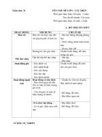 Kế hoạch phối hợp tuần 31- Năm học 2018- 2019